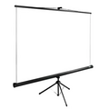 Проекционный экран размер: 220х220 напольный Cactus TriExpert CS-PSTE-220x220-BK цвет: чёрный