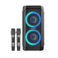 Портативная колонка напольная W-KING T11+ 100W, два микрофона, черный, Защита от влаги IPX6, BT, (T11+)
