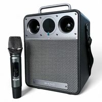 Портативная колонка W-KING T6S 80W, с микрофоном, серый, BT, (T6S)