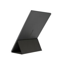 Монитор Asus 15.6" MB16ACE серый (IPS, 1920х1080, 5 ms, 250 cd/ m2, 800:1, USB)