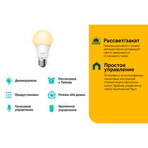 Умная лампа TP-Link Tapo L510E