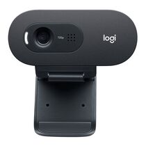 Web-камера Logitech C505 HD 1.3 Мп, с микрофоном, черный (960-001364)