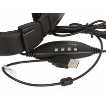 Наушники полноразмерные Defender Gryphon 750U с микрофоном, USB, черный  (63752)