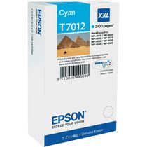 Картридж EPSON C13T70124010