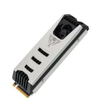 Твердотельный накопитель SSD M.2 2280 1000ГБ Patriot [Скорость чтения/ записи: 9500 МБ/ с/ 11700 МБ/ с] PV553P1TBM28H