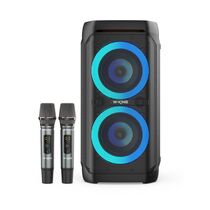 Портативная колонка напольная W-KING T11+ 100W, два микрофона, черный, Защита от влаги IPX6, BT, (T11+)