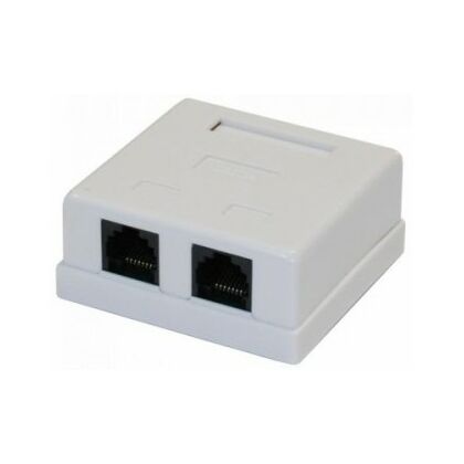 Розетка компьютерная RJ-45 CAT5e, внешняя, двойная, NetLan (EC-UWO-2-UD2-WT-10) Упаковка 10 штук