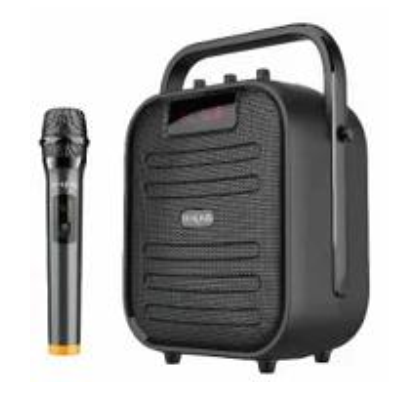 Портативная колонка W-KING T5+ 20W, черный, с микрофоном, BT, (T5+)