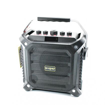 Портативная колонка W-KING K3H 100W, с микрофоном, черный, BT, miniJack 3.5, USB, (K3H)