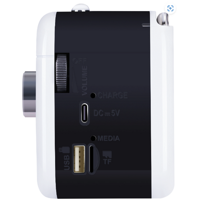 Портативный радиоприемник Defender Signal 5W, белый, Bluetooth 5.3, Type-C, FM приемник, Пластик, (65089)