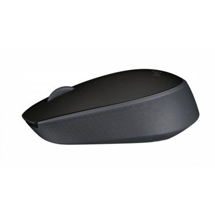 Мышка Logitech M171 Black Wireless (910-004424)